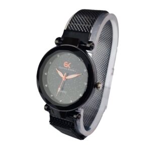 stainless steel watch